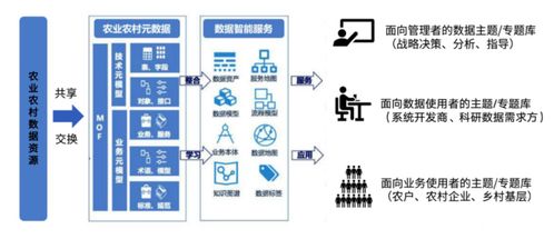 數(shù)字鄉(xiāng)村建設中的成功案例與數(shù)據(jù)處理實踐