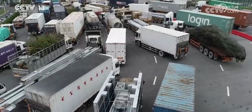 車暢人旺，港珠澳大橋經貿通道正崛起