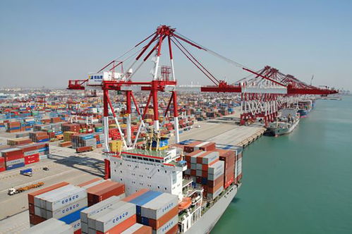出口退運(yùn)那些事 貨物進(jìn)出口中的常見問題與應(yīng)對策略