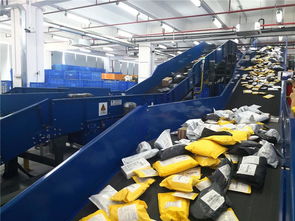 東莞制造乘跨境電商?hào)|風(fēng)，貨物進(jìn)出口實(shí)現(xiàn)跨越式增長(zhǎng)